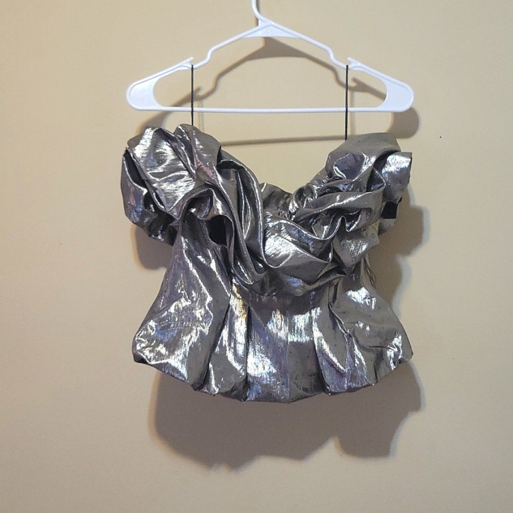 Zara Silver Taffeta Tube Top